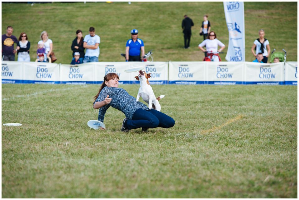 DOGFRISBEE – WPROWADZENIE - Hodowla Jack Russell Terrier Z Todrykowa. Najogólniej mówiąc dogfrisbee to sport polegający na aportowaniu przez pupila rzuconego mu plastikowego talerzyka. Dodatkowo można nauczyć psa wielu sztuczek, wyskoków, figur, bazując na aporcie talerzyka.