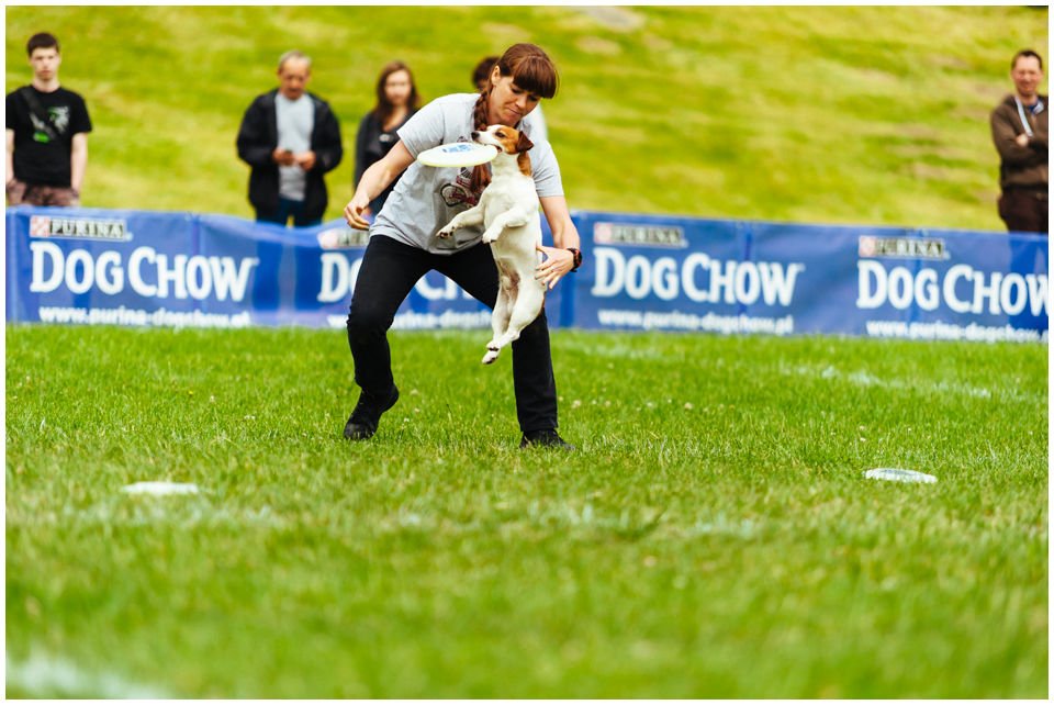 Hodowla Jack Russell Terrier Z Todrykowa, Poznań, Toruń, Brodnica, ZKwP