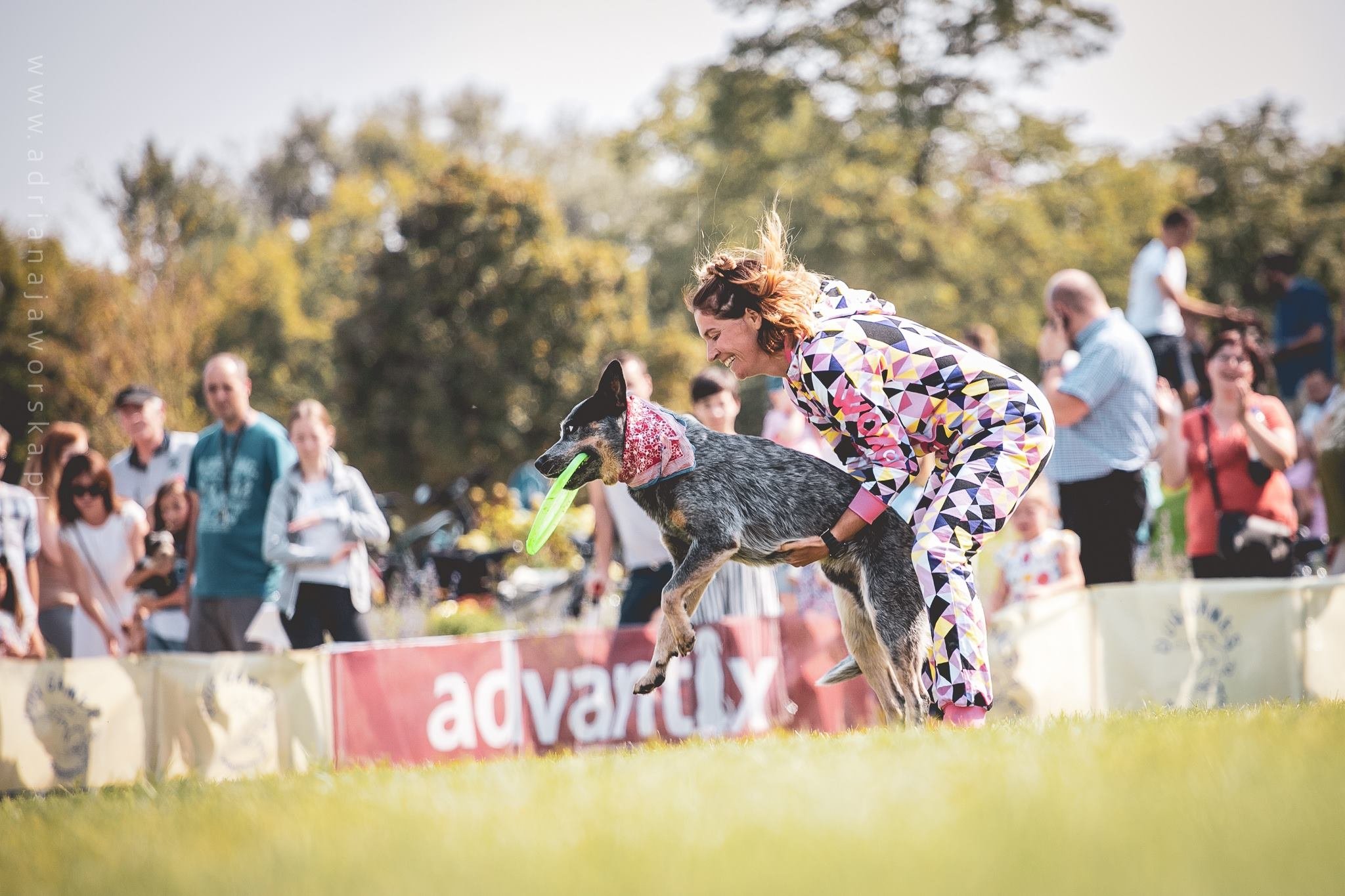Hodowla Jack Russell Terrier Z Todrykowa, Poznań, Toruń, Brodnica, ZKwP