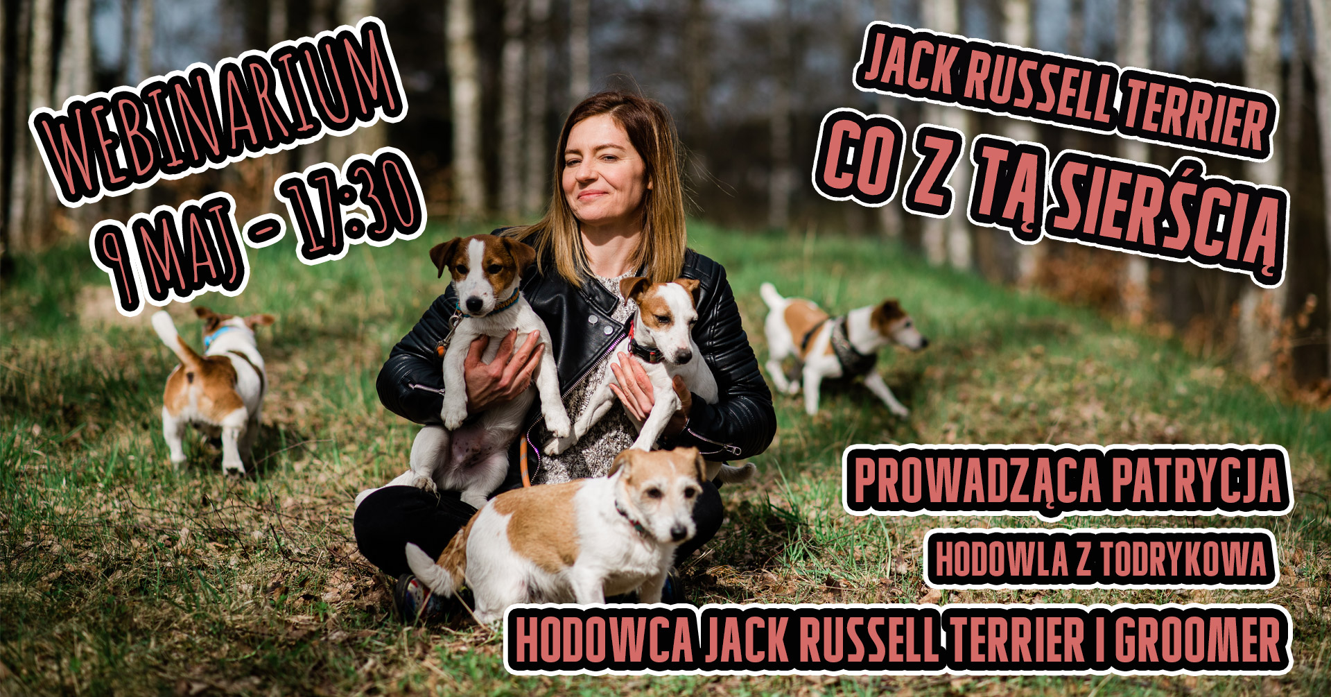 Hodowla Jack Russell Terrier z Todrykowa