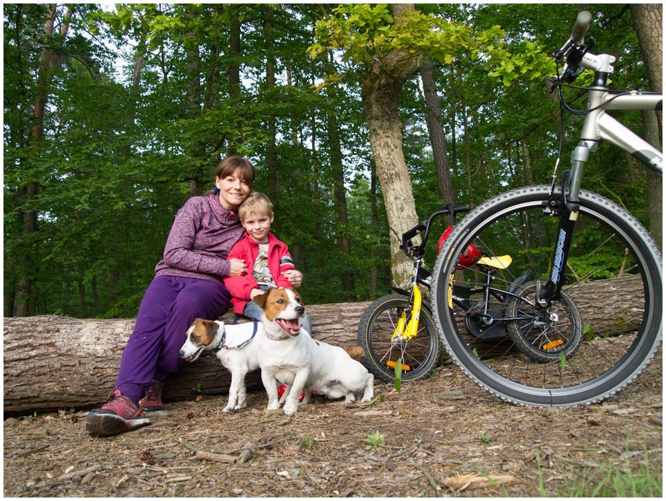 NIEZBĘDNIK DLA JACKA - Hodowla Jack Russell Terrier Z Todrykowa. Zapraszając szczeniaczka do naszego serca i życia, oprócz miłości, musimy mu zapewnić odpowiednią opiekę. Przyszli właściciele naszych szczeniąt często zadają pytania jak się przygotować na przyjazd nowego domownika.