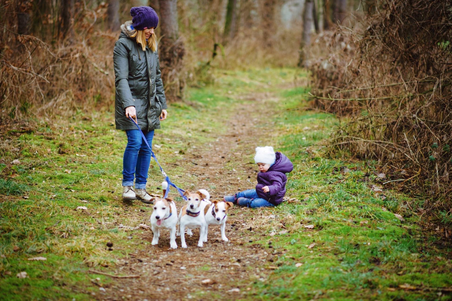 Hodowla Jack Russell Terrier Z Todrykowa