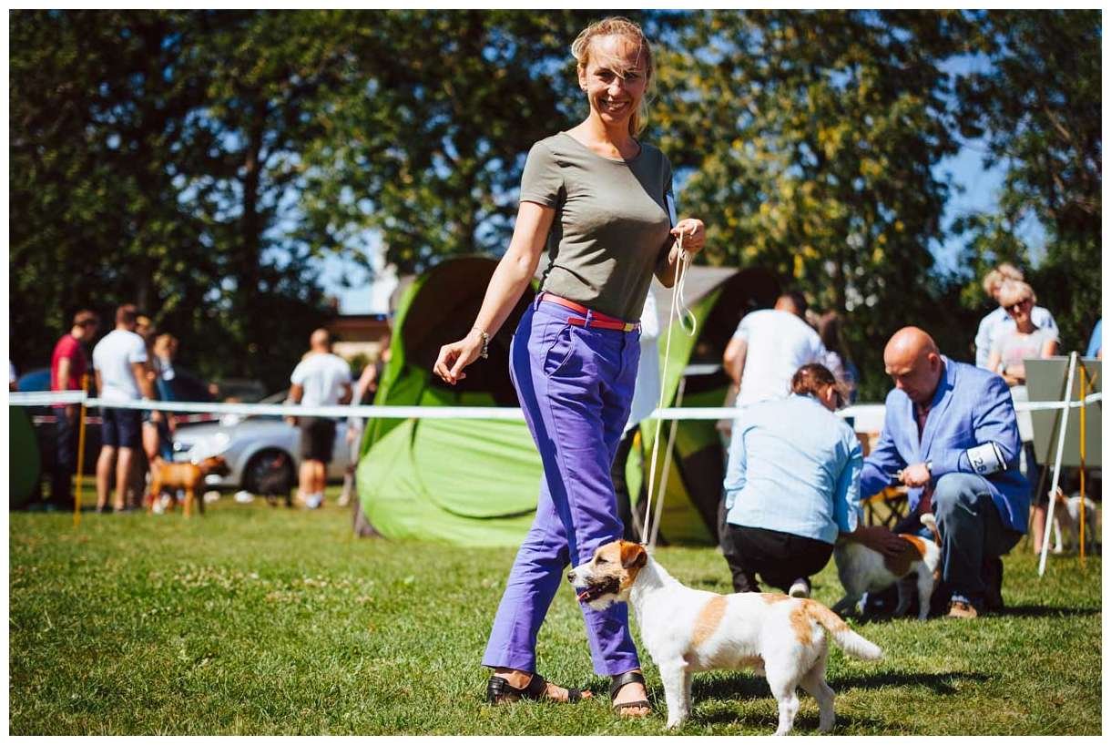 Hodowla z Todrykowa Jack Russell Terrier Wakacje 2018