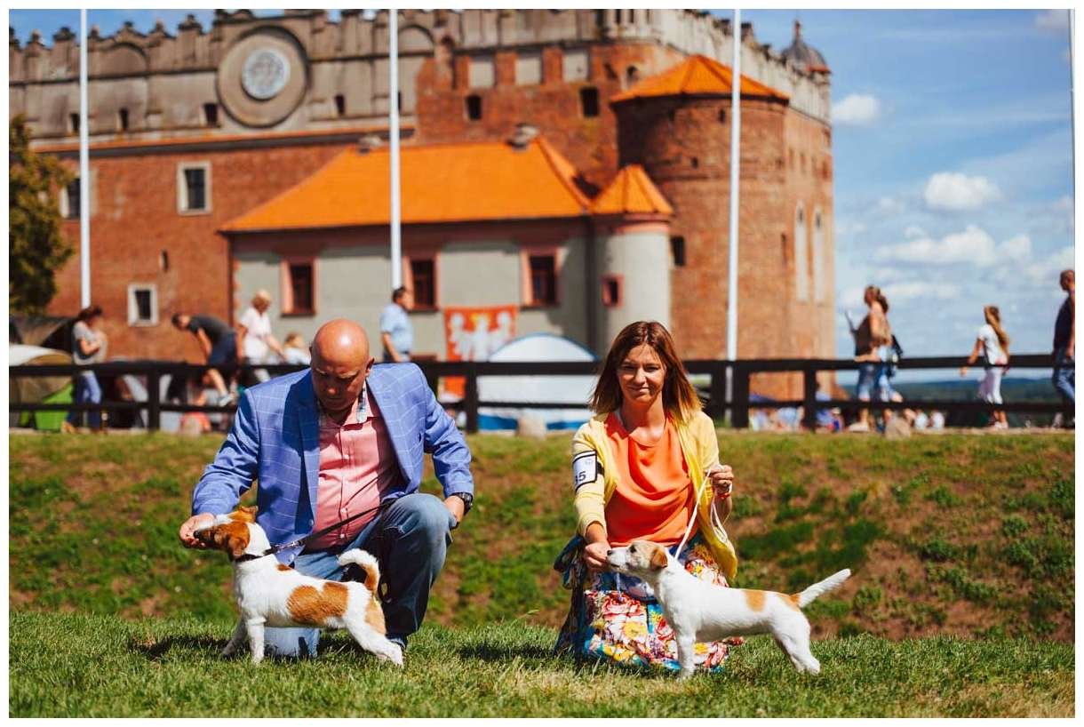 Hodowla z Todrykowa Jack Russell Terrier Wakacje 2018