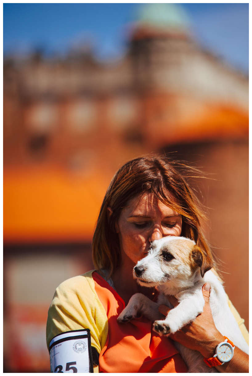 Hodowla z Todrykowa Jack Russell Terrier Wakacje 2018
