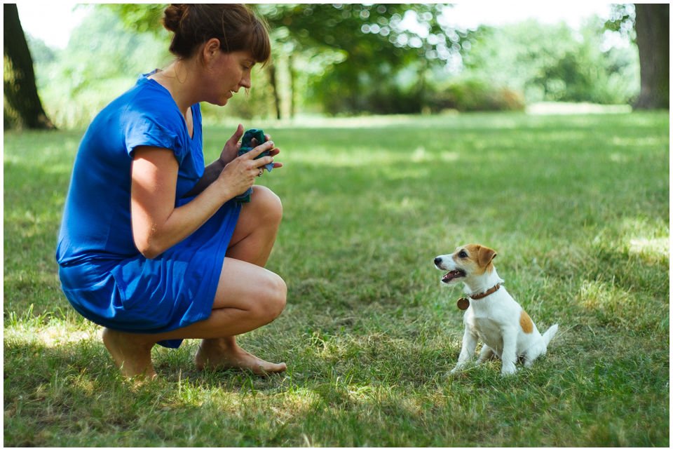 Wychowanie szczeniaka - Hodowla Jack Russell Terrier Z Todrykowa. Na temat wychowania Jack Russell Terriera na pewno będzie można przeczytać na tej stronie sporo. Poniekąd jest tak, że jakiego psa sobie wychowamy, takiego też będziemy mieli.