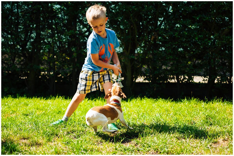 Z Todrykowa Jack Russell Terrier zabawa z dzieckiem