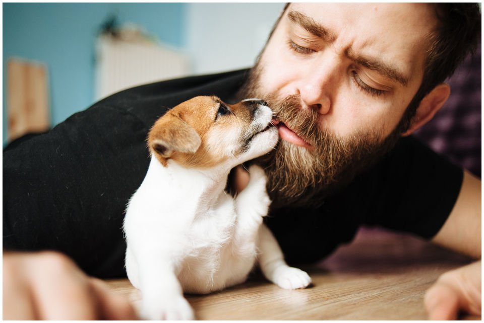 ZANIM PODEJMIESZ DECYZJĘ O ZAKUPIE SZCZENIAKA - Hodowla Jack Russell Terrier Z Todrykowa. Wiele osób planuje zakup szczeniaka długo przed jego pojawieniem się w domu. W celu podjęcia odpowiedniej decyzji należy odpowiedzieć sobie szczerze na pytania poniżej.
