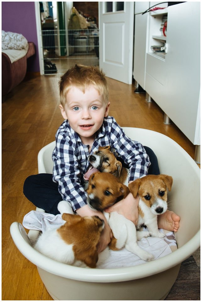 ZANIM PODEJMIESZ DECYZJĘ O ZAKUPIE SZCZENIAKA - Hodowla Jack Russell Terrier Z Todrykowa. Wiele osób planuje zakup szczeniaka długo przed jego pojawieniem się w domu. W celu podjęcia odpowiedniej decyzji należy odpowiedzieć sobie szczerze na pytania poniżej.