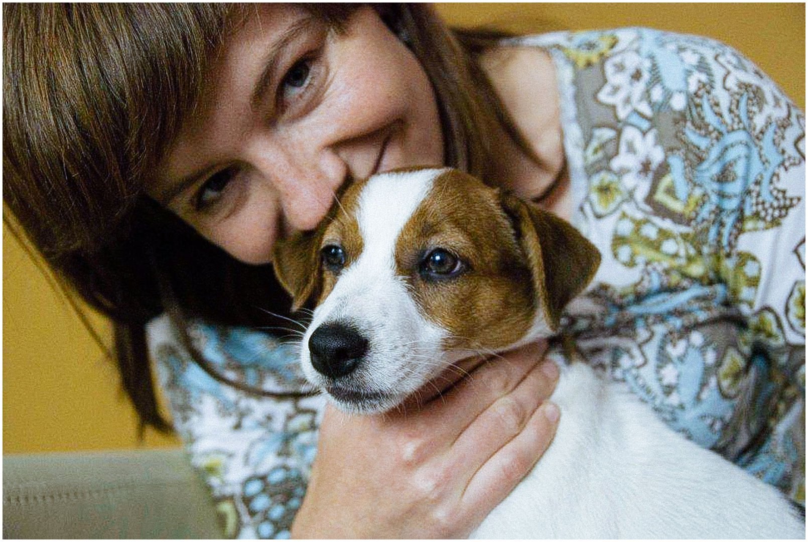 Bronco Bill Drapichrust - Hodowla Jack Russell Terrier Z Todrykowa. Cechy charakterystyczne: dobrze umięśniony, silny pies, pięknie wybarwiony – przekazuje głęboki kolor, doskonały w pracy z człowiekiem, radosny i zrównoważony samiec