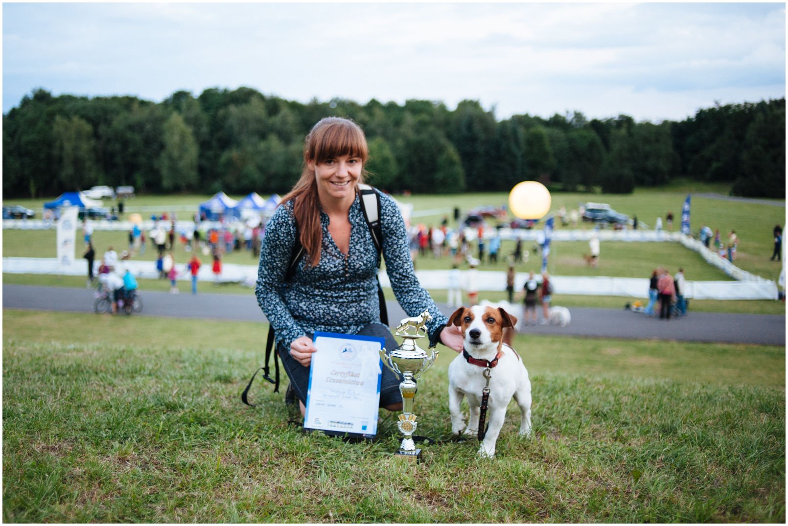 Bronco Bill Drapichrust - Hodowla Jack Russell Terrier Z Todrykowa. Cechy charakterystyczne: dobrze umięśniony, silny pies, pięknie wybarwiony – przekazuje głęboki kolor, doskonały w pracy z człowiekiem, radosny i zrównoważony samiec