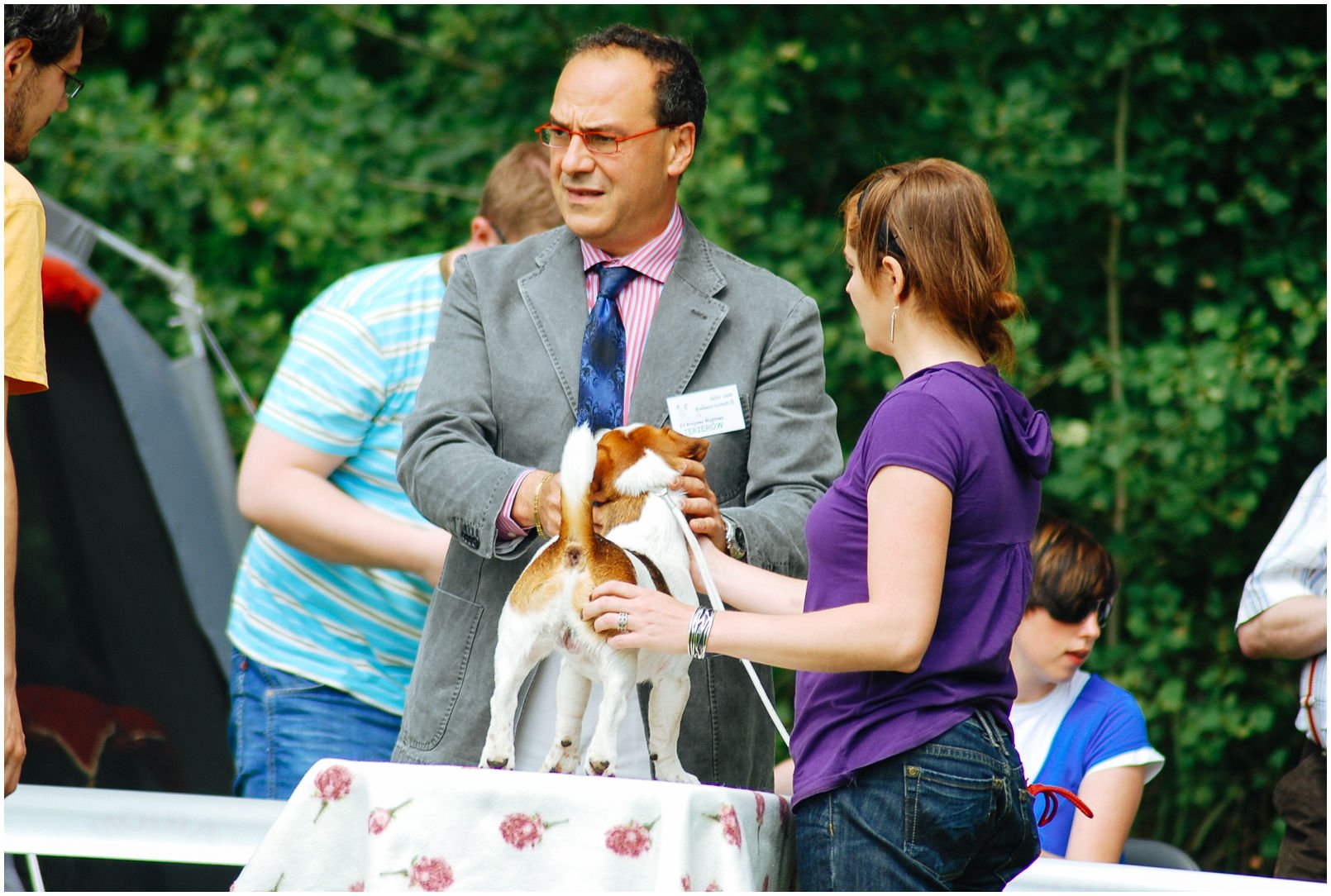Bronco Bill Drapichrust - Hodowla Jack Russell Terrier Z Todrykowa. Cechy charakterystyczne: dobrze umięśniony, silny pies, pięknie wybarwiony – przekazuje głęboki kolor, doskonały w pracy z człowiekiem, radosny i zrównoważony samiec