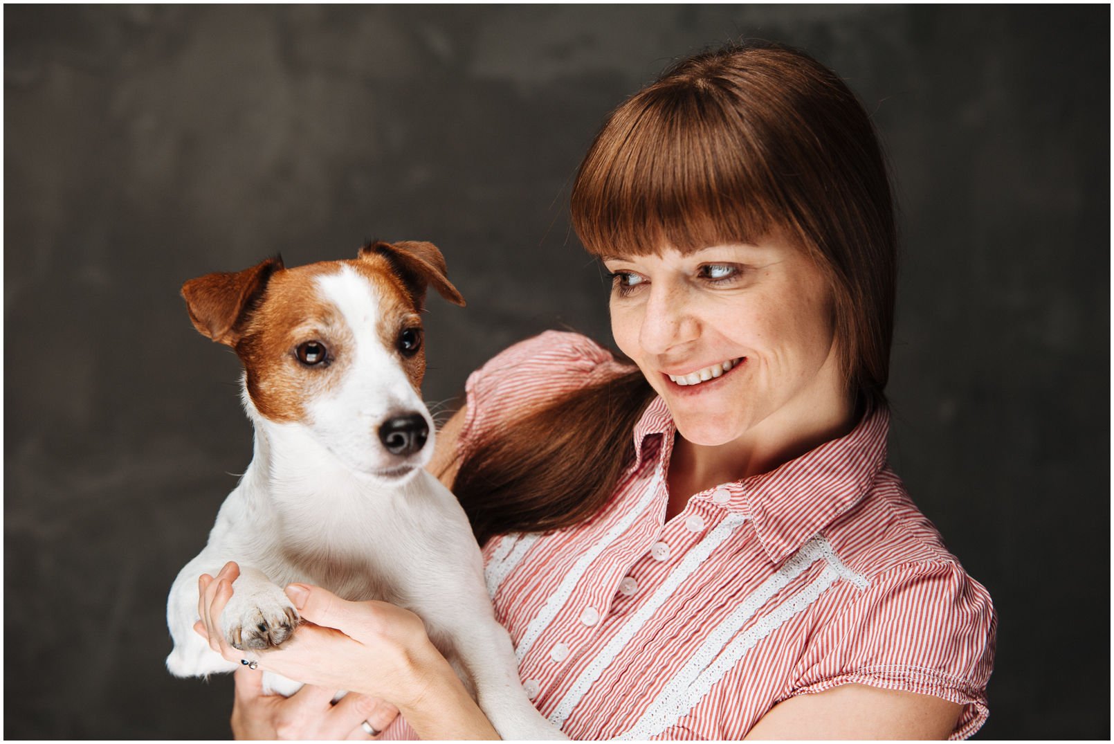 Bronco Bill Drapichrust - Hodowla Jack Russell Terrier Z Todrykowa. Cechy charakterystyczne: dobrze umięśniony, silny pies, pięknie wybarwiony – przekazuje głęboki kolor, doskonały w pracy z człowiekiem, radosny i zrównoważony samiec