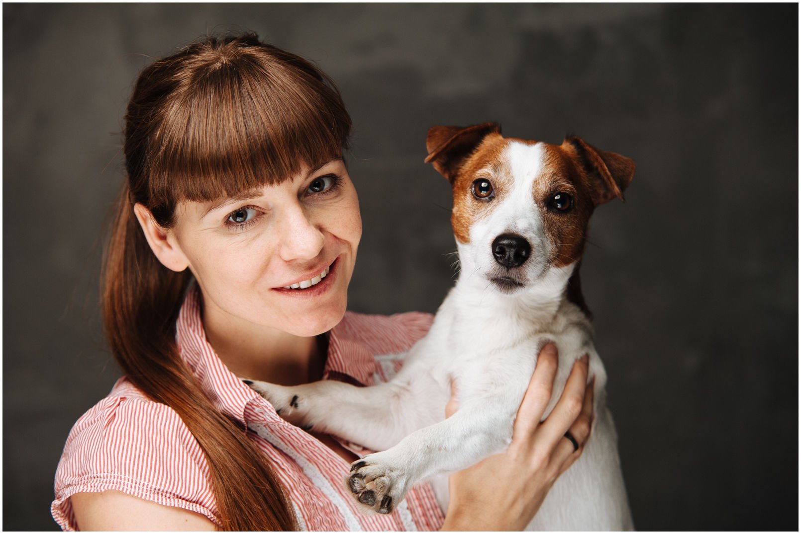 Bronco Bill Drapichrust - Hodowla Jack Russell Terrier Z Todrykowa. Cechy charakterystyczne: dobrze umięśniony, silny pies, pięknie wybarwiony – przekazuje głęboki kolor, doskonały w pracy z człowiekiem, radosny i zrównoważony samiec