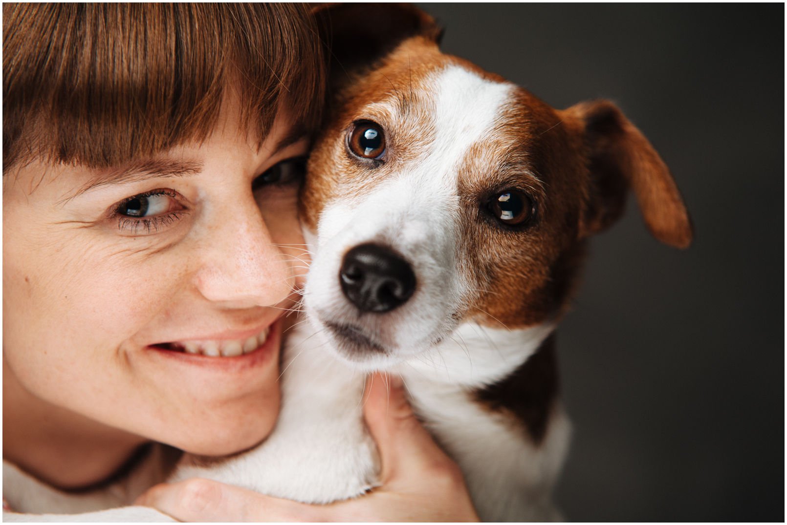 Bronco Bill Drapichrust - Hodowla Jack Russell Terrier Z Todrykowa. Cechy charakterystyczne: dobrze umięśniony, silny pies, pięknie wybarwiony – przekazuje głęboki kolor, doskonały w pracy z człowiekiem, radosny i zrównoważony samiec