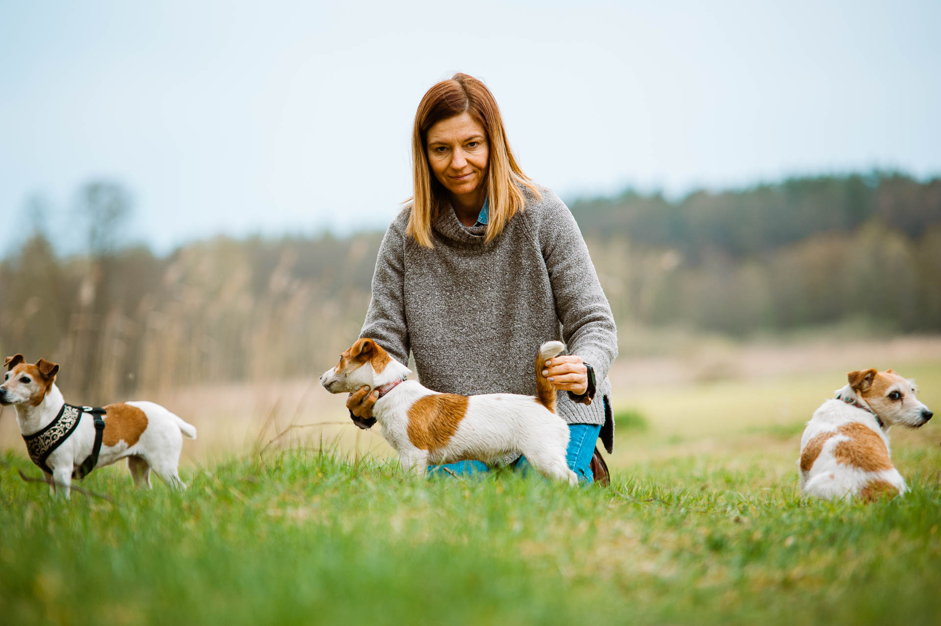 Luna Z Todrykowa - Hodowla Jack Russell Terrier Z Todrykowa. Cechy charakterystyczne: mała suczka o pięknej głowie, drobnej budowie, niebywałej zwinności i zwrotności, uwielbia wypoczywać w samotności, uparta