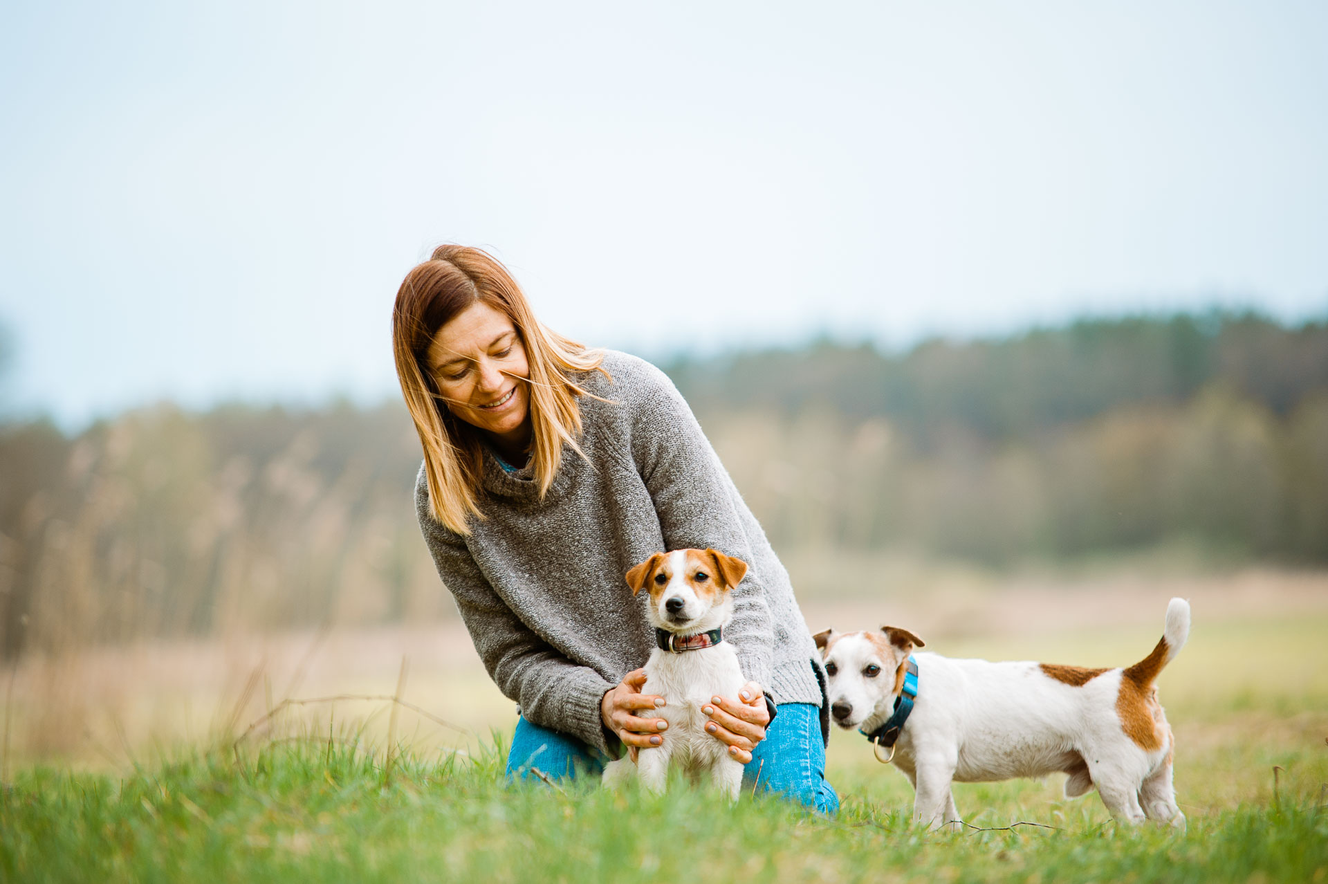 Luna Z Todrykowa - Hodowla Jack Russell Terrier Z Todrykowa. Cechy charakterystyczne: mała suczka o pięknej głowie, drobnej budowie, niebywałej zwinności i zwrotności, uwielbia wypoczywać w samotności, uparta