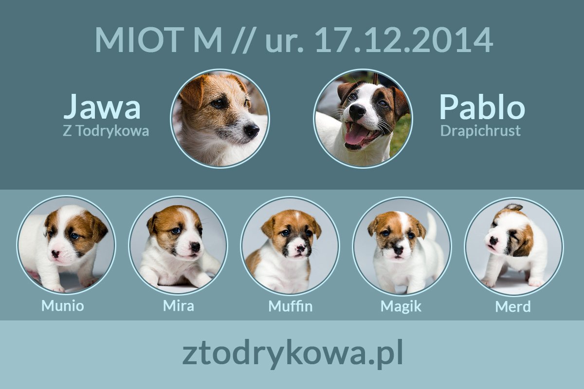 Miot M
