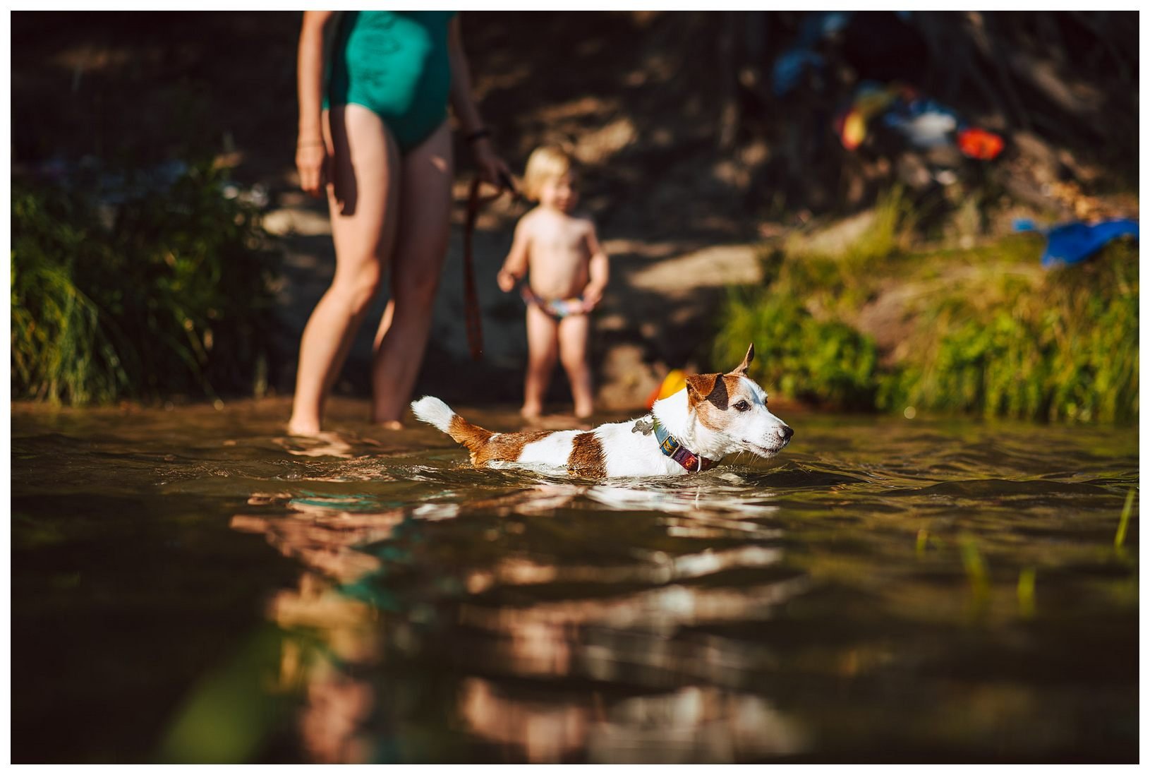 Z Todrykowa Jack Russell Terrier Hodowla