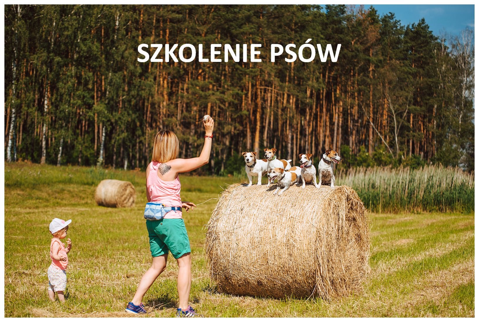 Patrycja Kowalka szkolenie psów, behawiorysta z todrykowa
