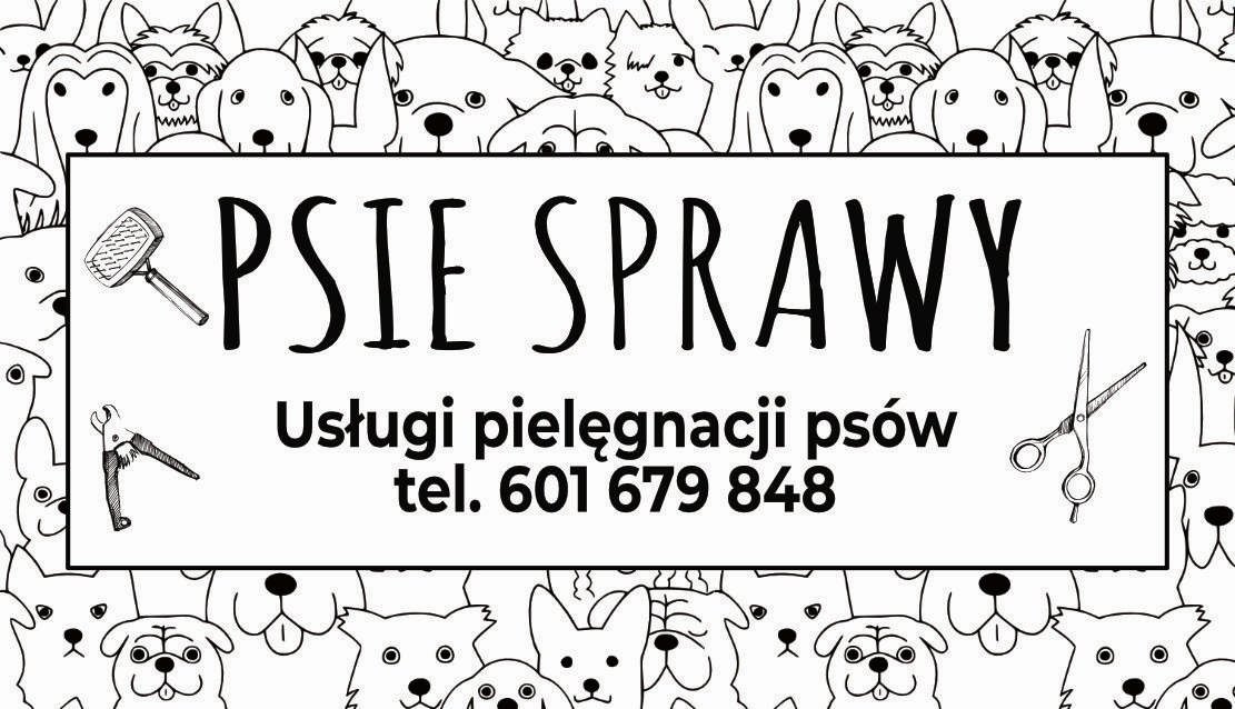 Hodowla Jack Russell Terrier  Z Todrykowa jest hodowlą domową, psy jack russell terrier posiadamy od 2007 roku i jako jedna z nielicznych hodowli psów rasowych Jack Russell Terrier czynnie zajmujemy się psim sportem, dogfriesbee.