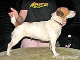 prababciamagicmushrom