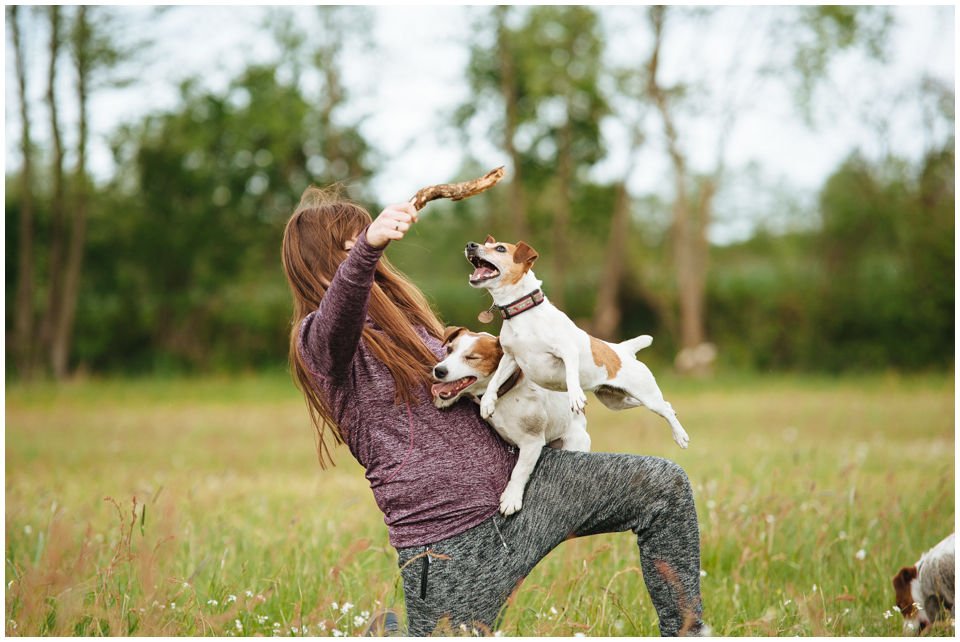 Cloe PRINCESSIN CONI - TOLA - Hodowla Jack Russell Terrier Z Todrykowa.  Cechy charakterystyczne: budowa lekka, drobnokoścista, zwinna i bardzo skoczna, nieprzeciętny charakter, zadziorny i typowy dla teriera temperament