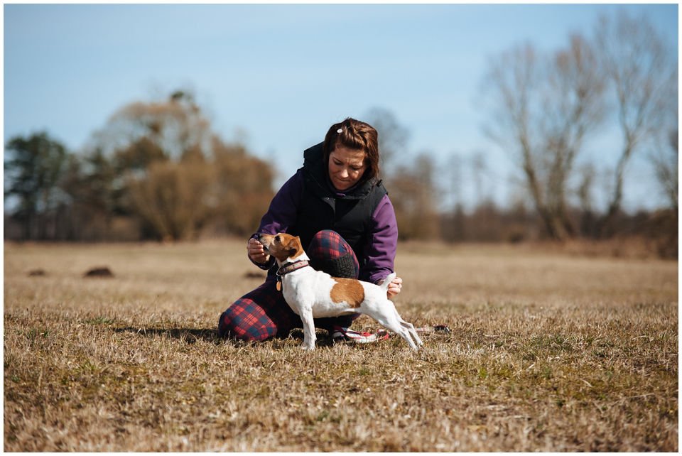 Cloe PRINCESSIN CONI - TOLA - Hodowla Jack Russell Terrier Z Todrykowa.  Cechy charakterystyczne: budowa lekka, drobnokoścista, zwinna i bardzo skoczna, nieprzeciętny charakter, zadziorny i typowy dla teriera temperament
