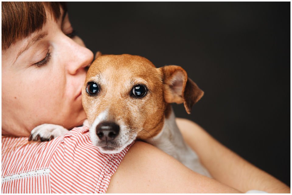 Cloe PRINCESSIN CONI - TOLA - Hodowla Jack Russell Terrier Z Todrykowa.  Cechy charakterystyczne: budowa lekka, drobnokoścista, zwinna i bardzo skoczna, nieprzeciętny charakter, zadziorny i typowy dla teriera temperament