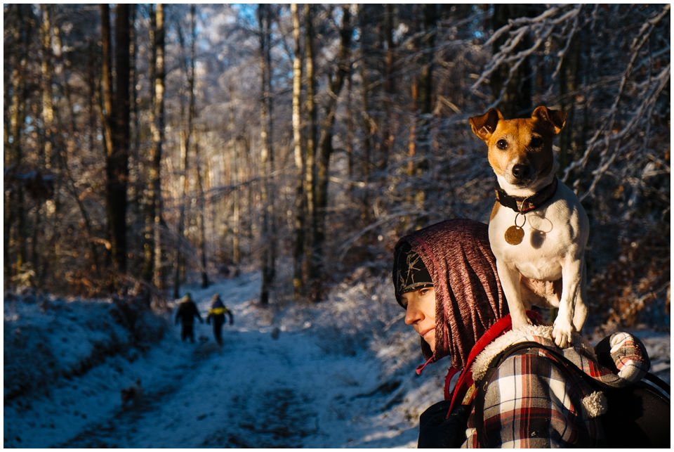 Cloe PRINCESSIN CONI - TOLA - Hodowla Jack Russell Terrier Z Todrykowa.  Cechy charakterystyczne: budowa lekka, drobnokoścista, zwinna i bardzo skoczna, nieprzeciętny charakter, zadziorny i typowy dla teriera temperament
