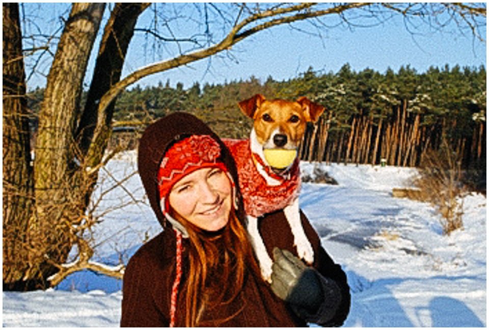 Cloe PRINCESSIN CONI - TOLA - Hodowla Jack Russell Terrier Z Todrykowa.  Cechy charakterystyczne: budowa lekka, drobnokoścista, zwinna i bardzo skoczna, nieprzeciętny charakter, zadziorny i typowy dla teriera temperament